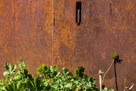Texture of rusty metal on an old metal door to the garage Stock Photos