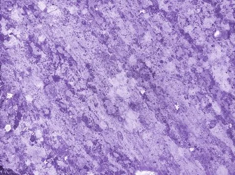 Texture rusty purple. Texture and background for design. Stock Photos