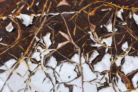 The texture of a rusty sheet of iron with peeled paint Stock Photos