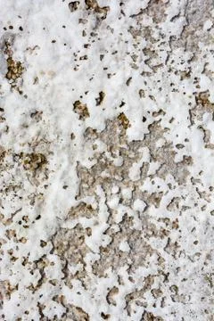 The texture of the salt lake Baskunchak. Stock Photos