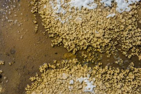 The texture of the salt lake Baskunchak. Stock Photos