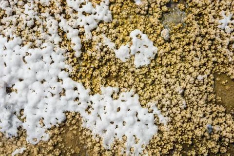 The texture of the salt lake Baskunchak. Stock Photos