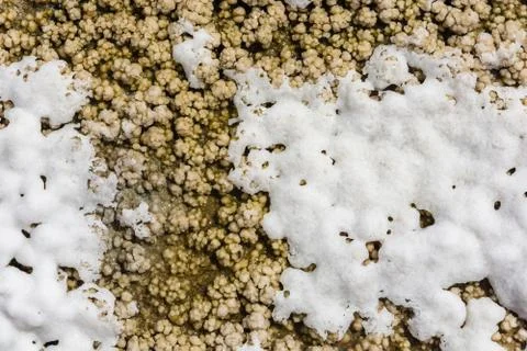The texture of the salt lake Baskunchak. Stock Photos