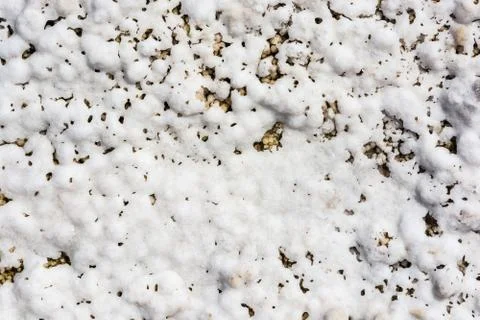 The texture of the salt lake Baskunchak. Stock Photos
