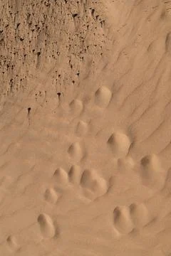Texture of sand and earth, sand dunes and waves, traces of animals Stock Photos