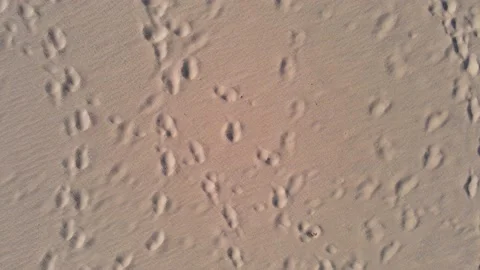 Texture of sand background Stock Footage 172388215