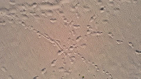 Texture of sand background Stock Footage 172388745