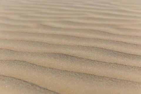 Texture of sand on the beach Stock Photos