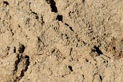 Texture of sand. Construction sand close up background Stock Photos