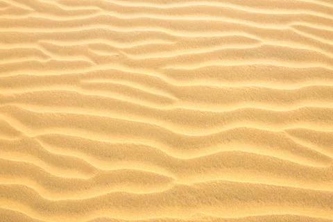 Texture of sand dunes
