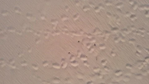 Texture of sand Stock Footage 172388142