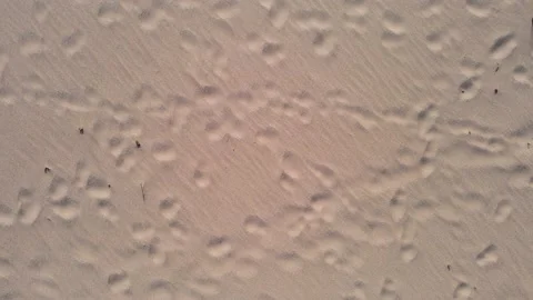 Texture of sand Stock Footage 172388198