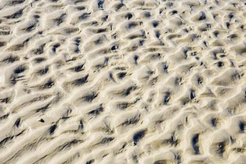 Texture of sand. 写真素材