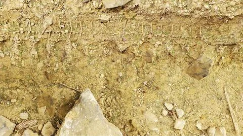 Texture of the sand Stock Photos