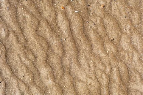 Texture of sand of red color with a pattern in the form of an ox on the seash Stock Photos