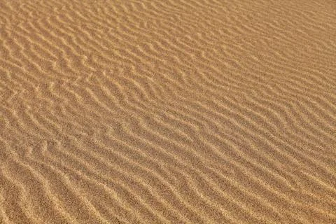 Texture of sand rippled with the wind Stock Photos