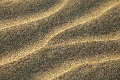 Texture of sand rippled with the wind Stock Photos