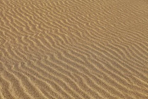 Texture of sand rippled with the wind Texture of sand rippled with the win... Stock Photos