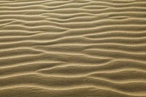 Texture of sand rippled with the wind Texture of sand rippled with the win... Stock Photos