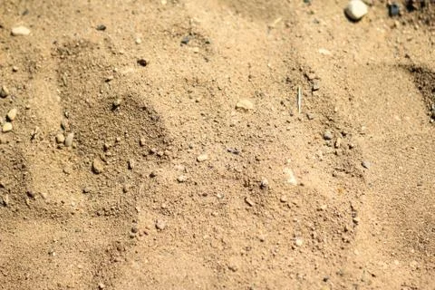 Texture of sand with small pebbles 库存照片