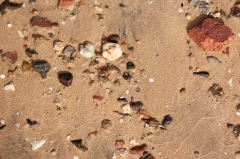 The texture of sand with stones for background Stock Photos
