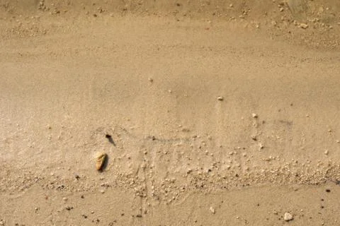The texture of the sand is yellow. close up. background image Stock Photos