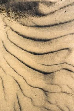 The texture of the sand is yellow. close up. background image Stock Photos