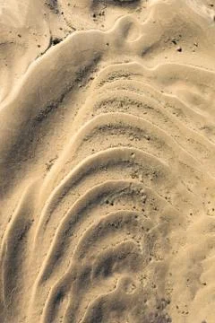 The texture of the sand is yellow. close up. background image Stock Photos