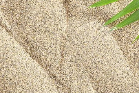 Texture of sandy beach as background, top view Foto stock