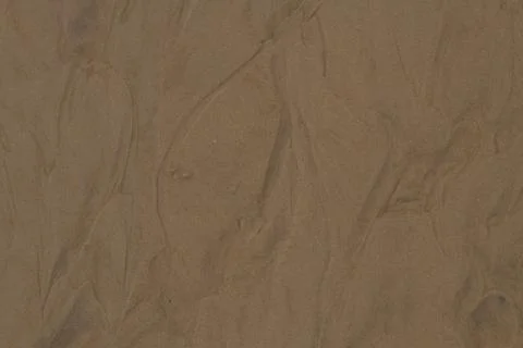 Texture of the sandy bottom of the river with clear water. Stock Photos