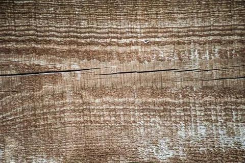 The texture of a saw cut of an old tree with cracks Stock Photos