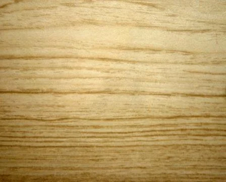 The texture of sawn wood. Background. Macros Stock Photos
