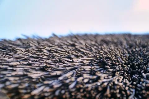 The texture of the scales on the bottom of the screen. Background for text and Stock Photos