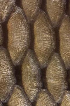 Texture scales Stock Photos