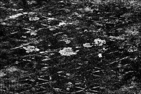 Texture of scratches, cracks, chips. Monochrome abstract grunge background. B Фото