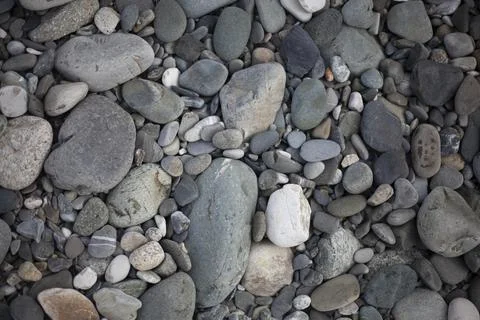 Texture of sea pebbles. Stock Photos