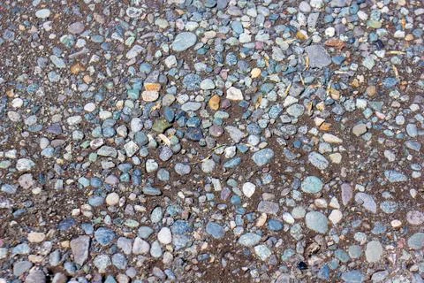Texture of sea shells, texture of the sea salt Stockfoto's