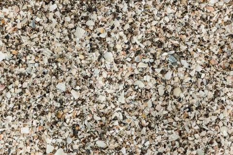 The texture of the sea shore is covered with shell fragments. Background for  Stock Photos