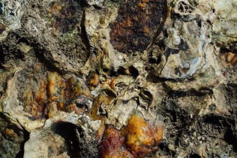 Texture of sea stone with rust Stock Photos