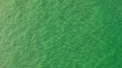 Texture of sea waves with clear waters. Stock Footage 81132261