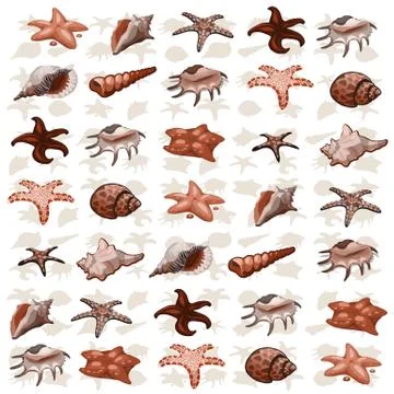 The texture of seashells and starfish. Sketch for a card or poster on a marin Stock Illustration