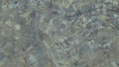 Texture seashells in the sea Stock Footage 79013947