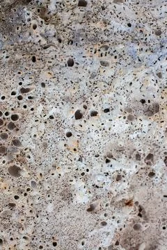 Texture of seaside stone Stock Photos