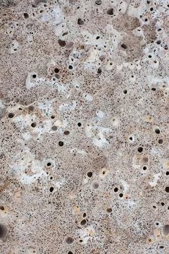Texture of seaside stone Stock Photos