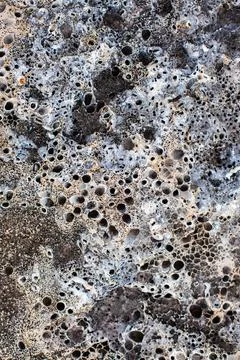 Texture of seaside stone Stock Photos