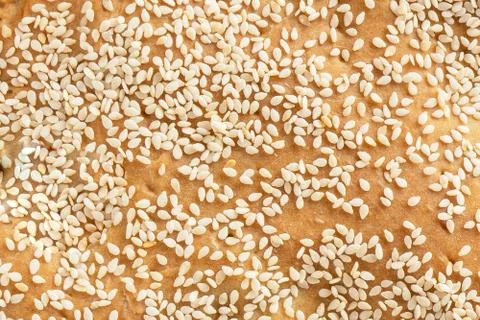 Texture of sesame pie close-up Stock Photos