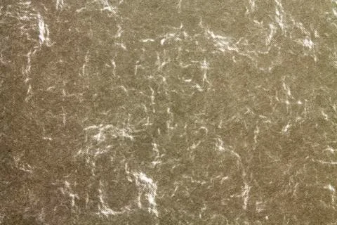 Texture of a sheet of carton Stock Photos