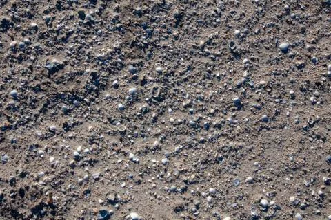 Texture with shell and pebble at wet yellow sand of beach Stock Photos