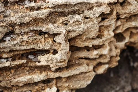 Texture of shell rock as background, closeup Stock Photos