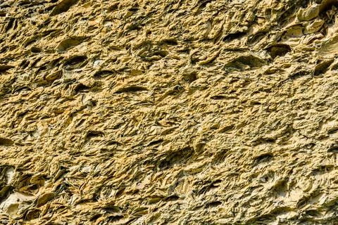 Texture of the shell rock limestone for background. Natural pattern Stock Photos